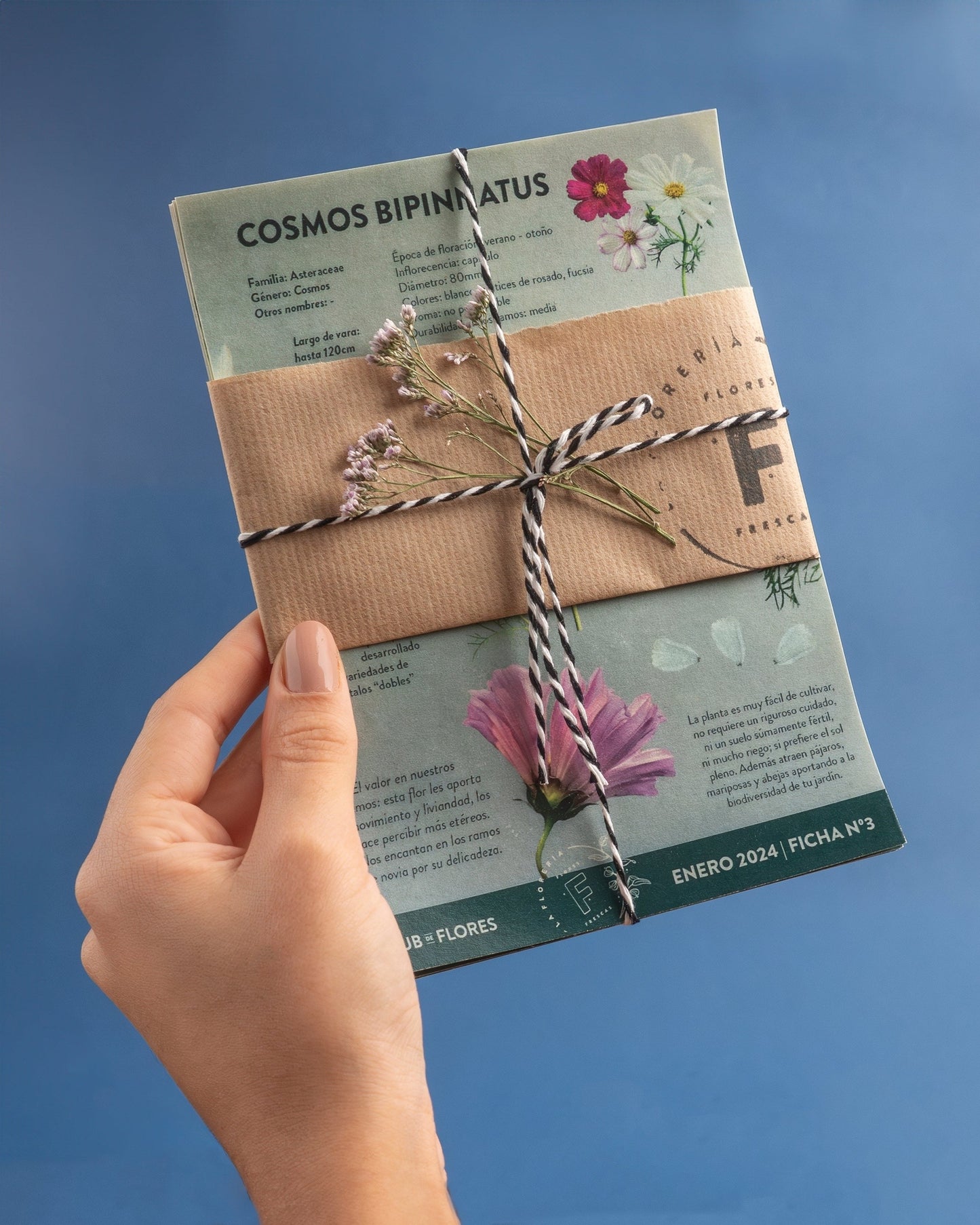 Fichas florales