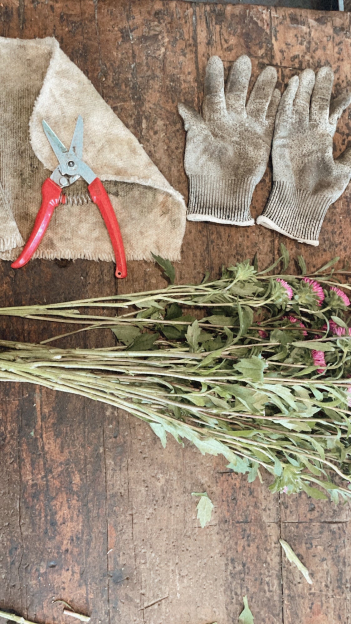 TALLER DE FLORES SILVESTRES 15/11