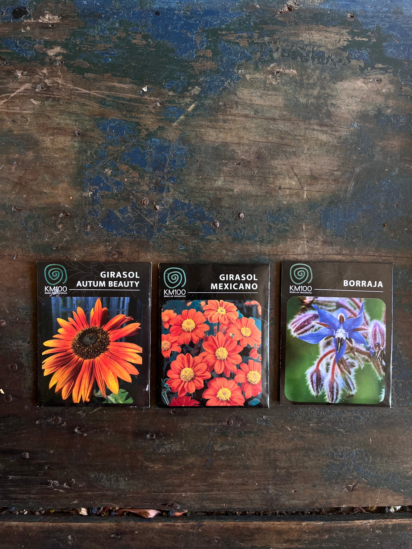 Semillas florales
