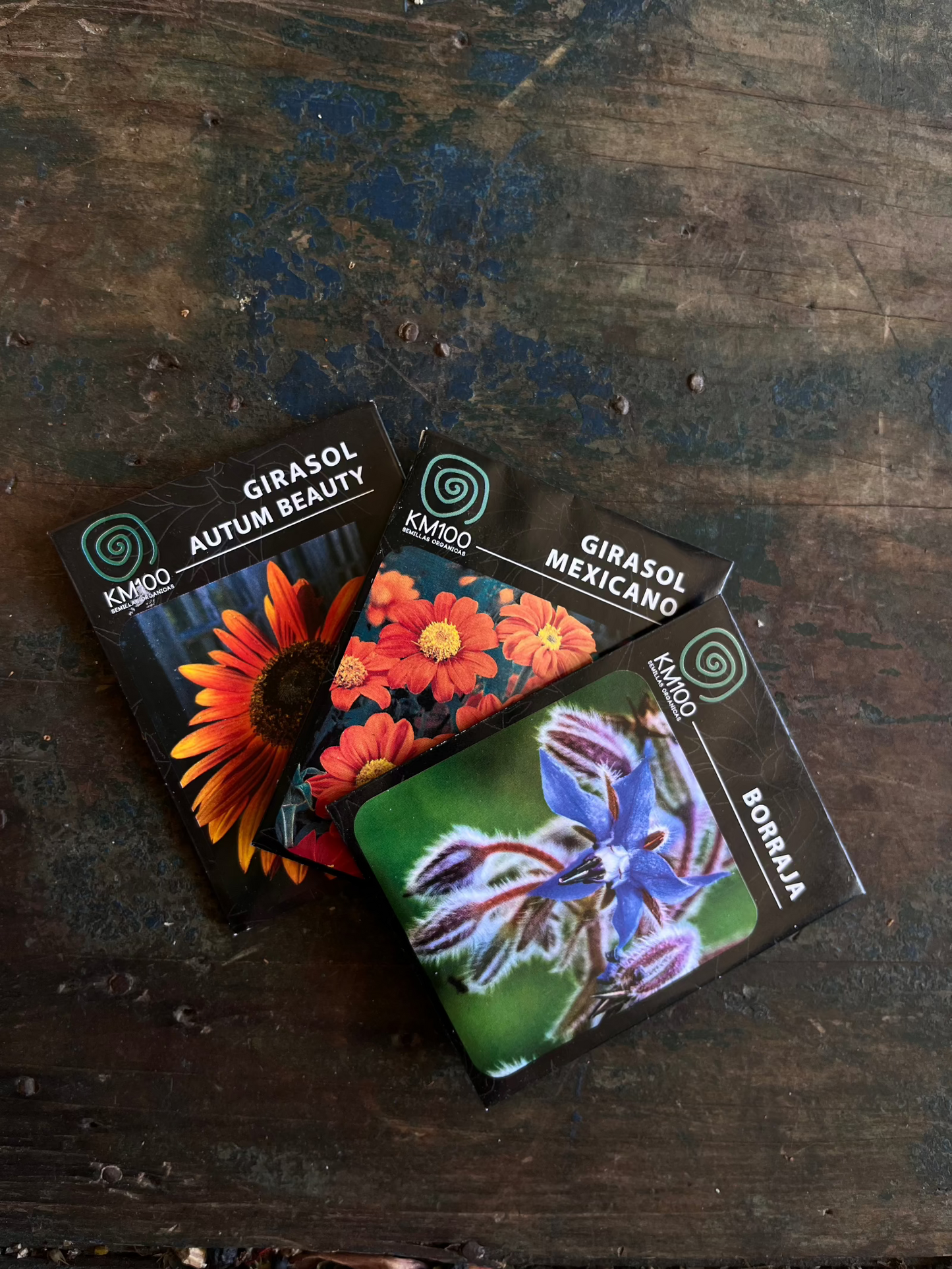 Semillas florales