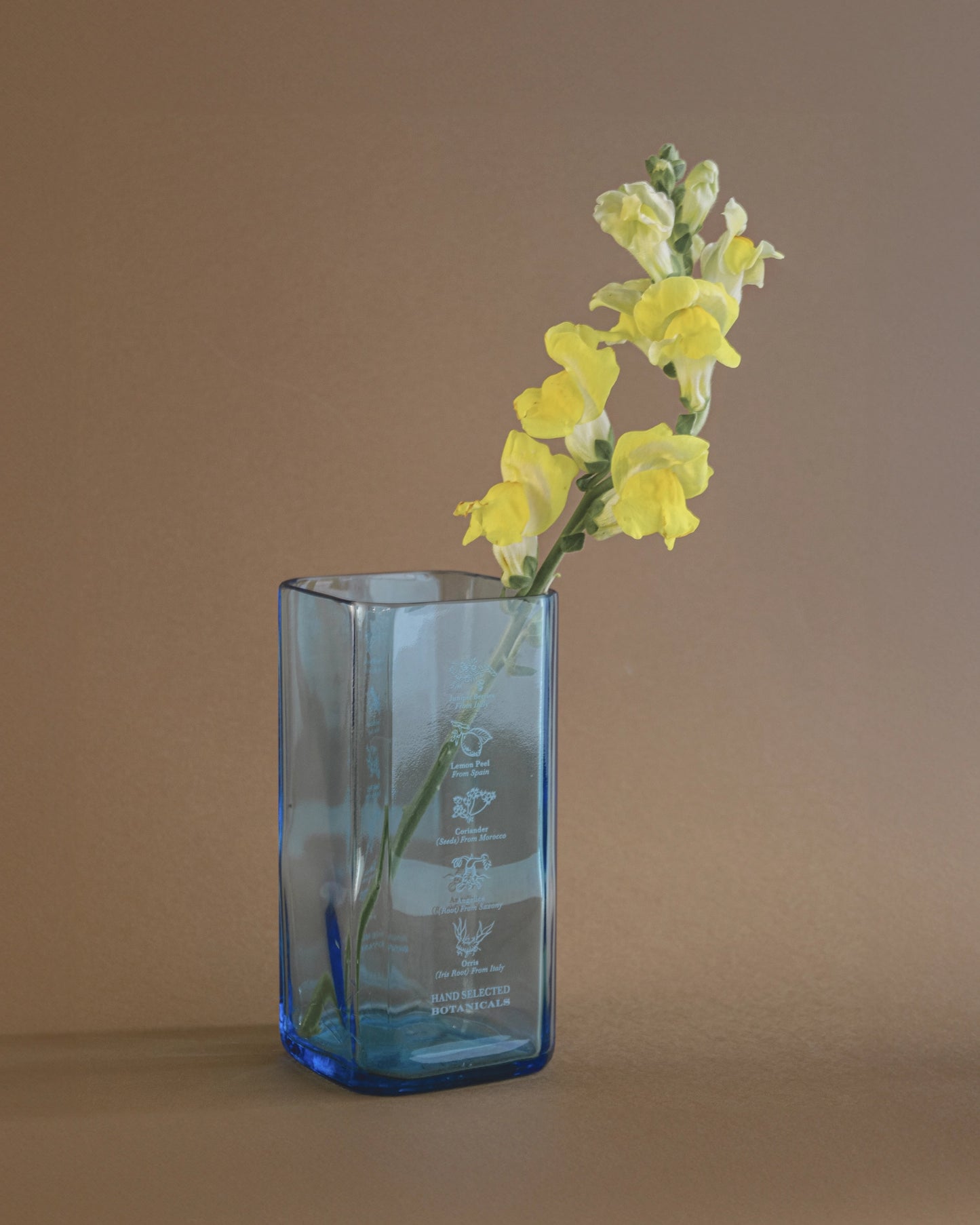 Bombay vase, glass