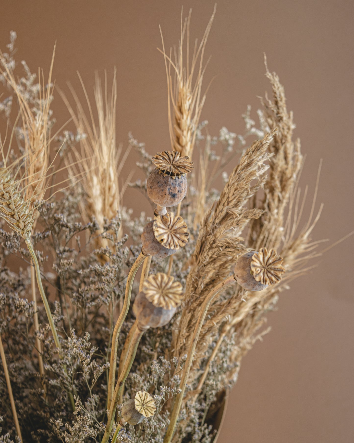 Dry Wheat Branch