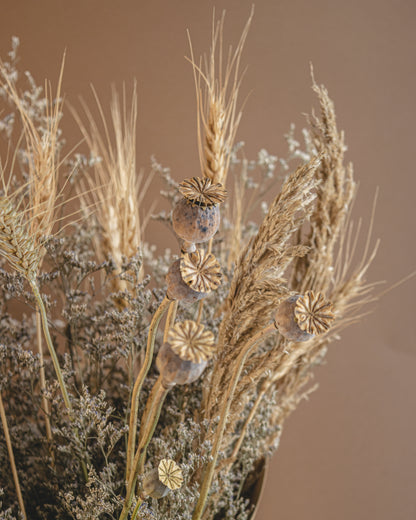 Dry Wheat Branch