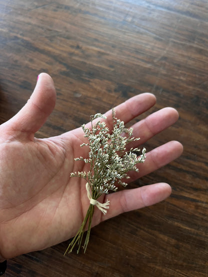 Dry Oat Bunch