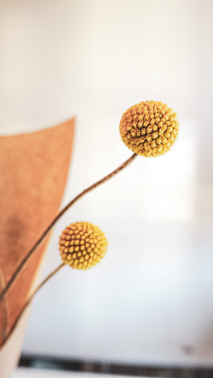 Dry Poppy Bouquet