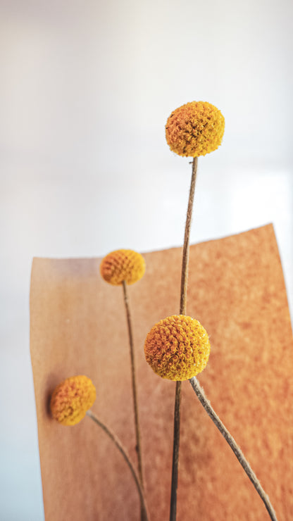 Dry Poppy Bouquet