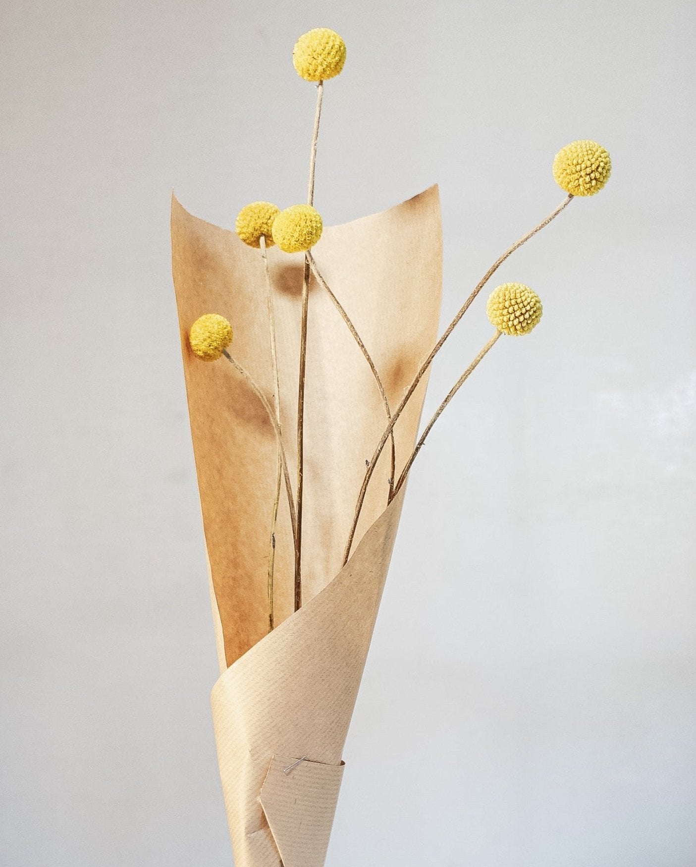 Dry Poppy Bouquet